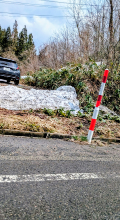 すずさんの写真