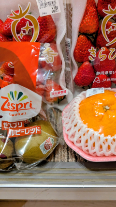 すずさんの写真