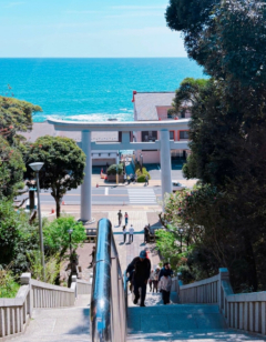 コウさんの写真