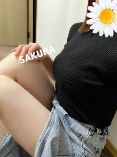 サクラさんの写真