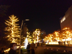 中川みちるさんの写真