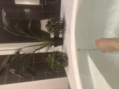 れいらさんの写真