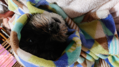 ウタさんの写真