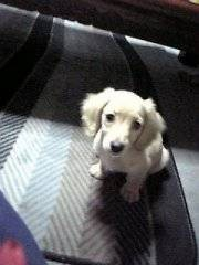 大原ゆうこさんの写真